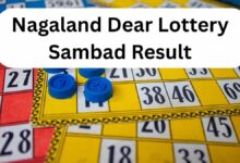 Nagaland Lottery Results Today On March 12, Live At 1PM, 6PM & 8PM; Winners Of Sambad Dear Thursday Lottery