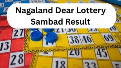 Nagaland Lottery Results Today On March 12, Live At 1PM, 6PM & 8PM; Winners Of Sambad Dear Thursday Lottery