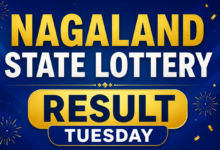 Nagaland Lottery Result Today, June 9, 2026: Check Rs 1 crore winning ticket number & all other prize-winning numbers