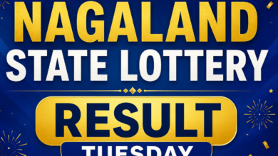 Nagaland Lottery Result Today, June 9, 2026: Check Rs 1 crore winning ticket number & all other prize-winning numbers