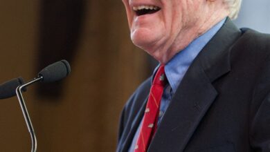 Pulitzer Prize-Winning Author and Historian Gordon Wood Hit and…
