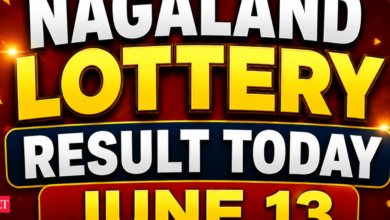 Nagaland Lottery Sambad Result Today, June 13, 2026: Check Dear Vision Saturday lottery's Rs 1 crore prize winning number & full list