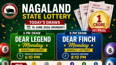 Nagaland Lottery Result Today June 15: 6PM & 8PM Dear Evening Weekly Lottery Results Out; Check Winners List
