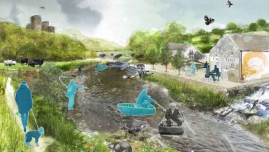 Landmark project secures funding from The National Lottery Heritage to restore the Afon Teifi - Water Magazine