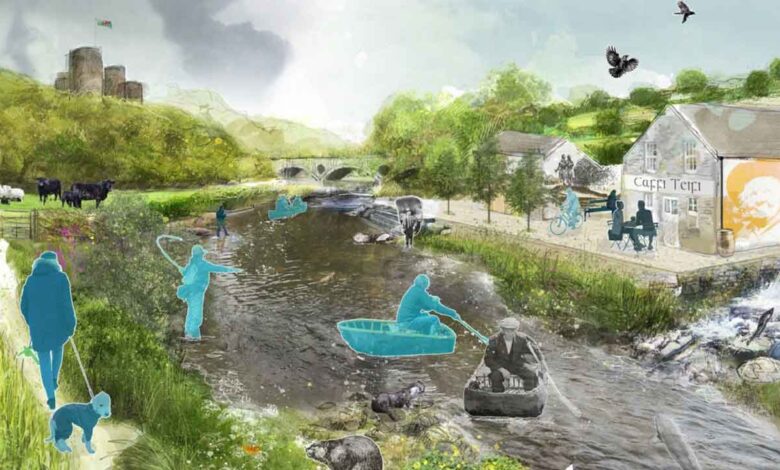 Landmark project secures funding from The National Lottery Heritage to restore the Afon Teifi - Water Magazine