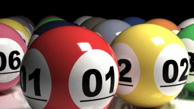 WATCH: Lotto and Lotto Plus results: Wednesday, 17 June 2026 | The Citizen