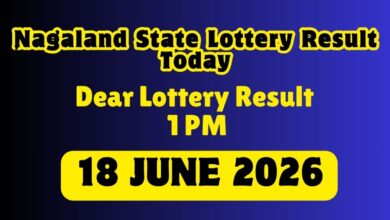 Nagaland Lottery Result Today 18 June DECLARED: Check Dear Morning 1 PM Winner of Rs. 1 Crore