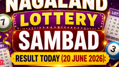 Nagaland Lottery Sambad result today (20 June 2026): Dear Saturday Weekly 1st prize worth Rs 1 crore goes to 76K 21365; check all winning numbers here