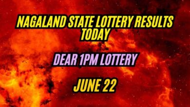 Nagaland State Lottery Results Today, June 22: Dear Morning 1PM Results OUT: Check Rs.1Cr 1st Prize Winner