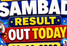 Nagaland Lottery Sambad result out today (22-06-2026); check Rs 1 crore prize winning number and full list here