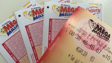 Mega Millions winning numbers for June 23, 2026. Did anyone win the lottery last night?