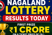 Nagaland Lottery Results today (14-06-2026): Check Rs 1 crore first prize and other winning numbers
