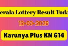 Karunya Plus KN 614 Kerala Lottery Result ANNOUNCED, March 12: See 1st Prize Winner, Tax Details & Claim Steps