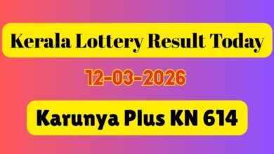 Karunya Plus KN 614 Kerala Lottery Result ANNOUNCED, March 12: See 1st Prize Winner, Tax Details & Claim Steps