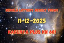 Kerala Lottery Result Today 12-12-2025: Karunya Plus KN 601 Results To Be OUT At 2PM: Check 1st Prize Winner