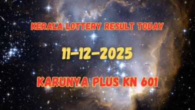Kerala Lottery Result Today 12-12-2025: Karunya Plus KN 601 Results To Be OUT At 2PM: Check 1st Prize Winner