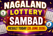 Nagaland Lottery Sambad result today (20 June 2026): Dear Saturday Weekly 1st prize worth Rs 1 crore goes to 76K 21365; check all winning numbers here