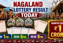 Nagaland State Lottery Results Today, 26 June, 2026 LIVE; Dear 1 PM, Dear 6PM, Dear 8PM Friday Lottery Winners