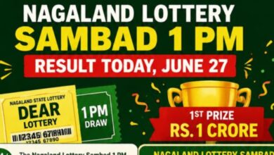 Nagaland Lottery Sambad 1 PM Result Today, June 27: Dear Lottery Winning Numbers, Prize List & How to Claim
