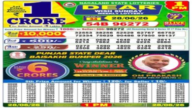 Nagaland State Lottery Result Today, 28-06-2026 LIVE: Dear 1PM Morning Sunday Weekly Lucky Draw for Rs 1 Crore