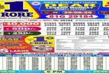 Nagaland Lottery Result Today LIVE: Dear 6PM & 8 PM Sambad Monday Weekly Lucky Draw Winners List for Rs 1 Cr