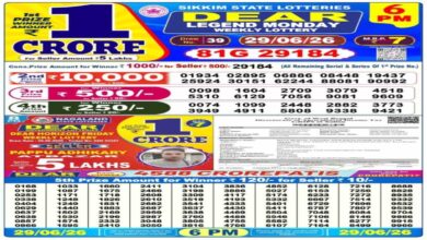 Nagaland Lottery Result Today LIVE: Dear 6PM & 8 PM Sambad Monday Weekly Lucky Draw Winners List for Rs 1 Cr