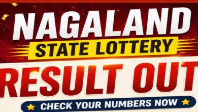 Nagaland State Lottery Result Today, 29-06-2026 LIVE: Dear 1PM Monday Lucky Draw Rs 1 Cr Announced! Check