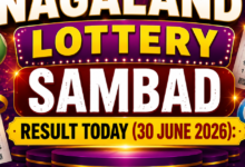 Nagaland Lottery result out today (30-06-2026): Check Rs 1 crore prize winning number and full list here