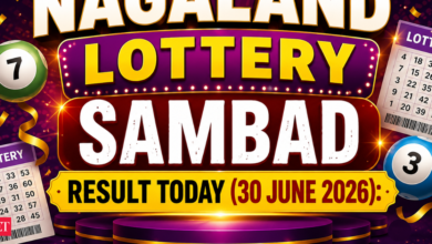 Nagaland Lottery result out today (30-06-2026): Check Rs 1 crore prize winning number and full list here