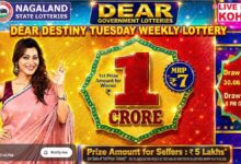 Nagaland State Lottery Result Today, June 30, 2026: Dear Destiny Tuesday Night 8 PM Draw Winners List, Live Updates