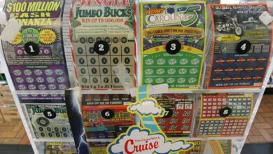 Bluffton woman goes in store for cat food walks out a $1 million SC lottery winner