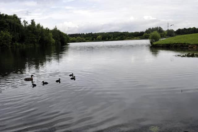 NATURE: People are being encouraged to go wild this June