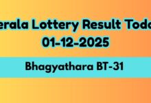 Kerala Lottery Result Today, Dec 1: Bhagyathara BT-31 Winners Announced; Check Full List & How to Claim