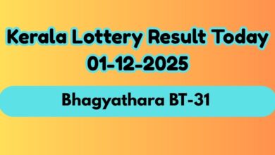 Kerala Lottery Result Today, Dec 1: Bhagyathara BT-31 Winners Announced; Check Full List & How to Claim