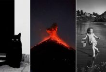A three-part image: a black cat sits against a black and white background, a volcano erupts at night with glowing lava, and a young girl runs barefoot on a beach carrying a bucket with waves crashing nearby.