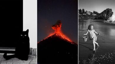 A three-part image: a black cat sits against a black and white background, a volcano erupts at night with glowing lava, and a young girl runs barefoot on a beach carrying a bucket with waves crashing nearby.