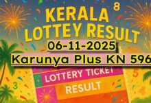Kerala Lottery Result On 17-11-2025: Bhagyathara BT 29 Lucky Draw Declared; Full Winners List, Steps To Claim?