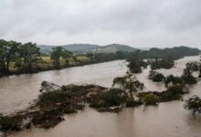 A Pulitzer Prize-winning writer documents his year after surviving the Hill Country floods