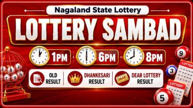 Nagaland Lottery Result Today, 04-07-2026 LIVE: Dear Vision 1PM; Dear Elite 6PM & Dear Lucky 8PM Winners List