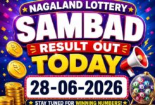 Nagaland State Lottery result out today (28-06-2026): check Rs 1 crore prize winning number and full list here