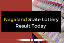 Nagaland State Lottery Sambad 28.08.2023 : Check today's result here