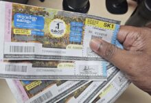 Kerala Lottery Result Today Live Updates (9/7/2026) Karunya Plus KN-631 Result Out! Rs 1 Cr Winner Revealed