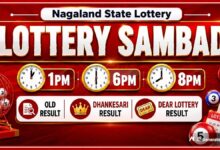 Nagaland Dear Lottery Result Today 13.7.2026 1 PM, 6 PM, & 8 PM | Lottery Sambad LIVE; Check Winners List