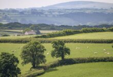 £250,000 boost for South West Nature recovery partnership