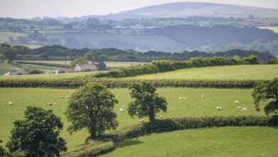 £250,000 boost for South West Nature recovery partnership