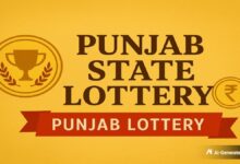 Punjab State Lottery Result 14-07-26 LIVE: Dear 100 Monthly Lottery Result & Dear 50 Bronco Tuesday Winners