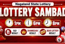 Nagaland Dear Lottery Result Today 16.7.2026 1 PM 6 PM 8 PM | Lottery Sambad LIVE; Check Winners List