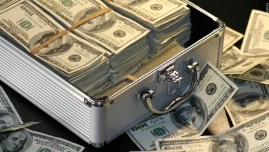 State record $34M Lotto America lottery ticket won in Minnesota