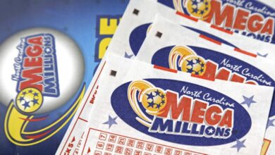 Big Mega Millions lottery winner announced in West Valley