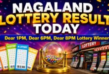 Nagaland Dear Lottery Result Today 26.7.2026 1 PM 6 PM 8 PM | Lottery Sambad LIVE Today; Full Winners List